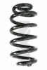 SPIDAN 86596 Coil Spring